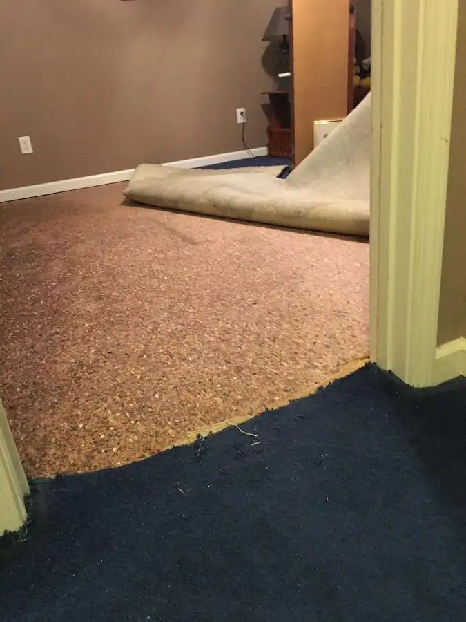 Carpet pad removal revealing water damage during Water Mitigation Services in Cambria